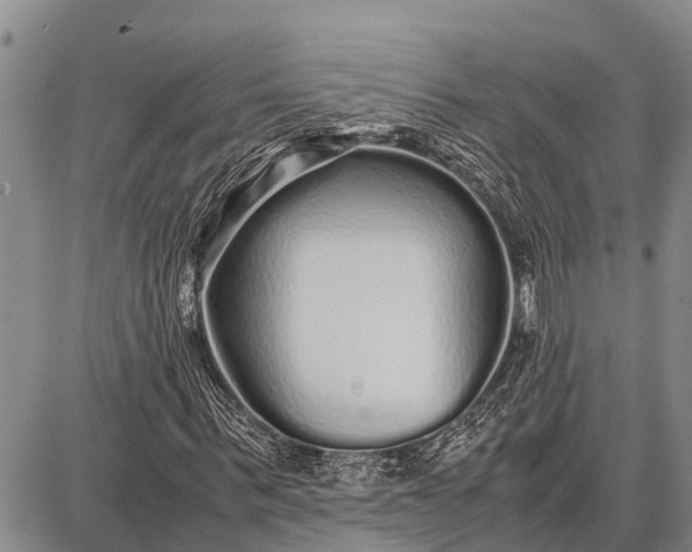 X0000087690963200705181751