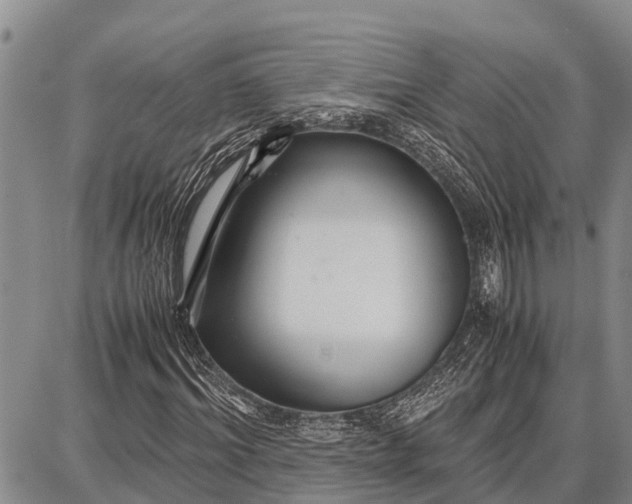 X0000087690964200705181750