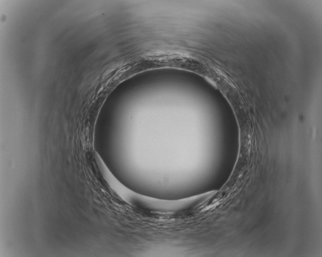 X0000087690965200705181750