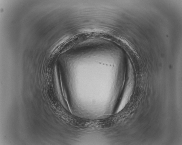 X0000087690967200705181750