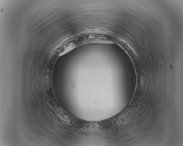 X0000087690968200705181750