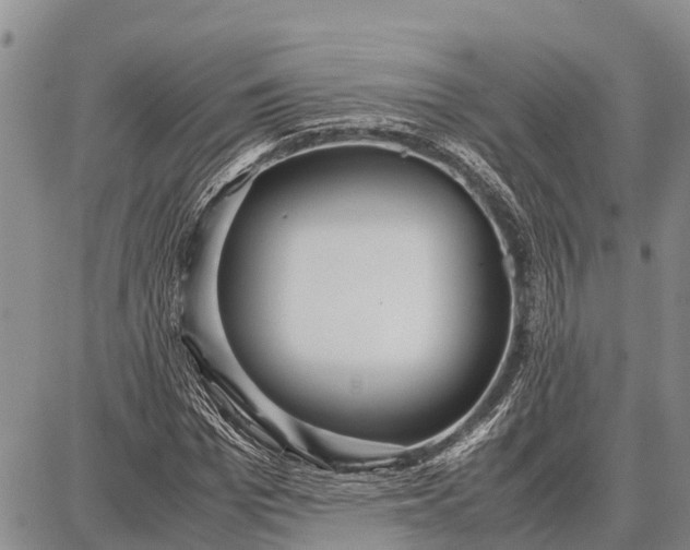 X0000087690969200705181750