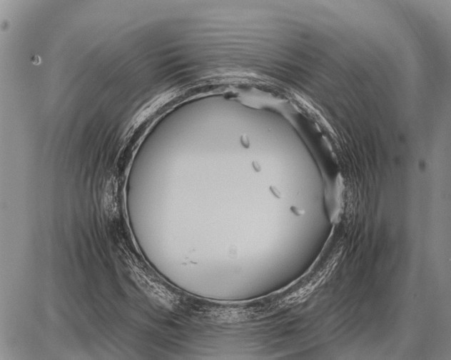 X0000087690970200705181750