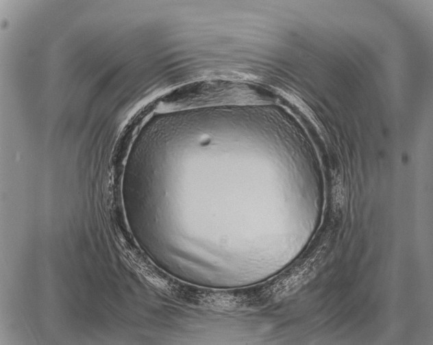 X0000087690971200705181750