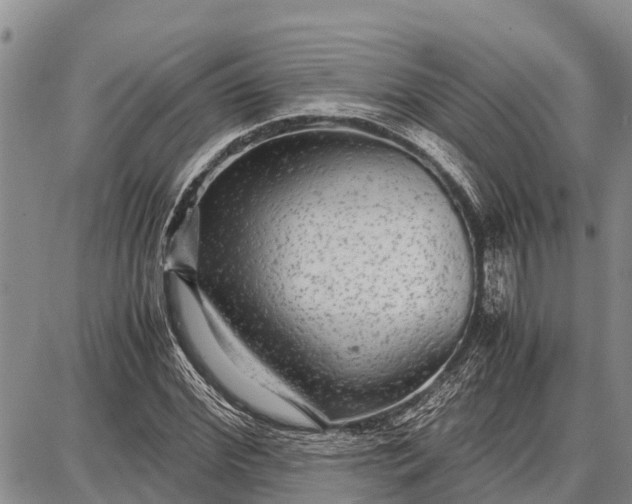 X0000087690972200705181750