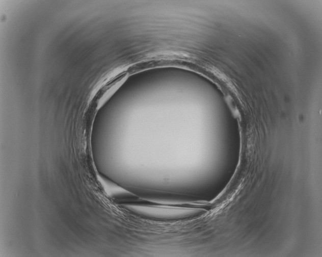 X0000087690973200705181750