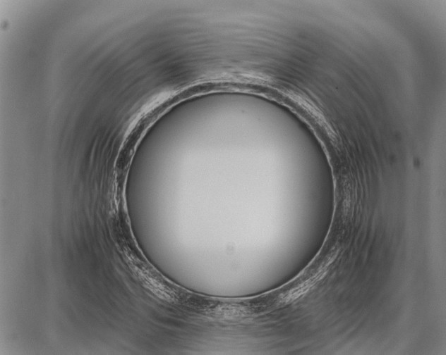 X0000087690974200705181750