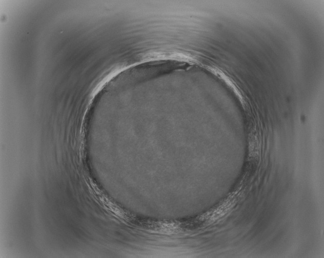 X0000087690975200705181750