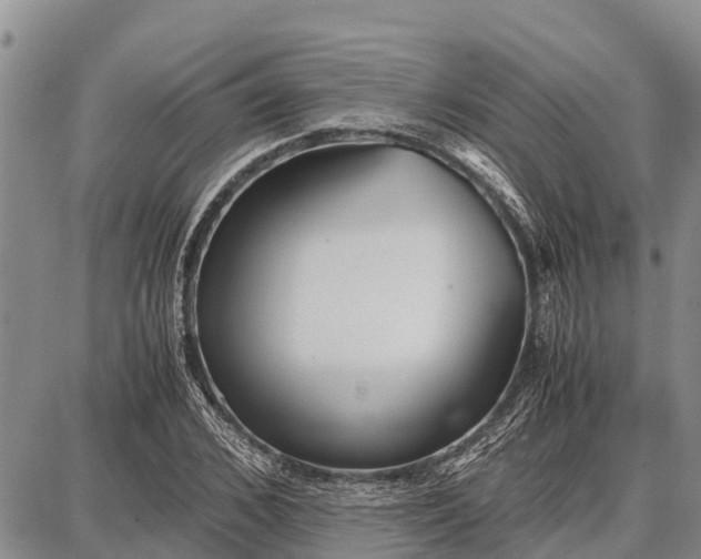 X0000087690976200705181750