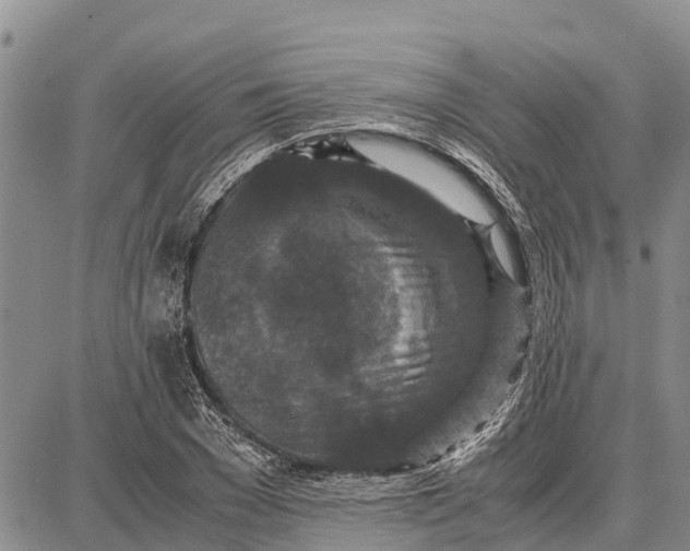 X0000087690977200705181750