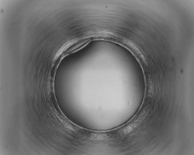 X0000087690978200705181750