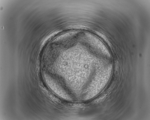 X0000087690979200705181750