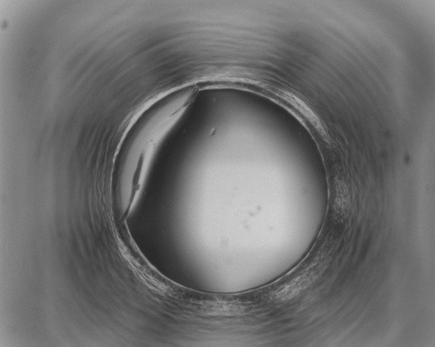 X0000087690980200705181750