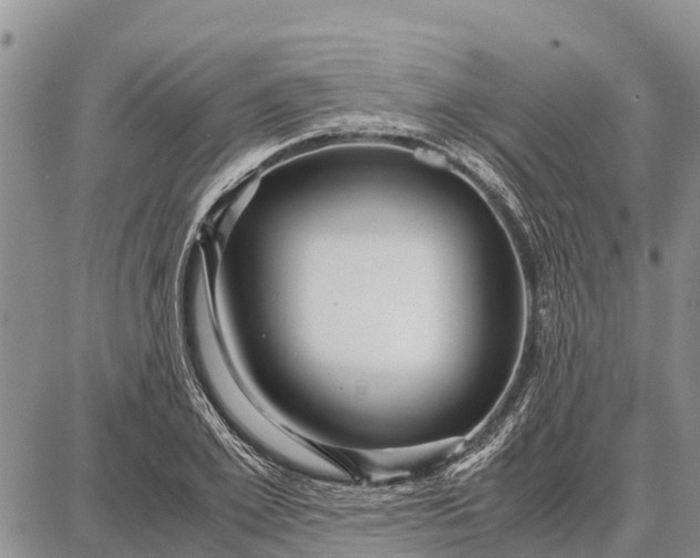 X0000087690981200705181750