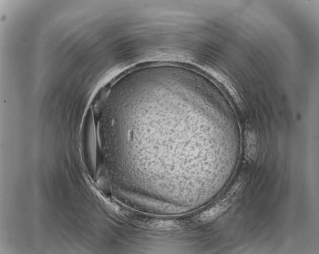 X0000087690982200705181750