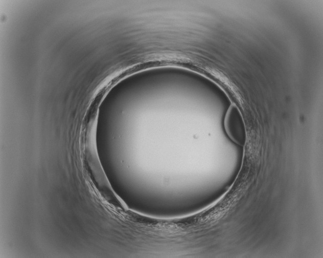 X0000087690983200705181750