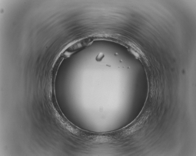 X0000087690984200705181750