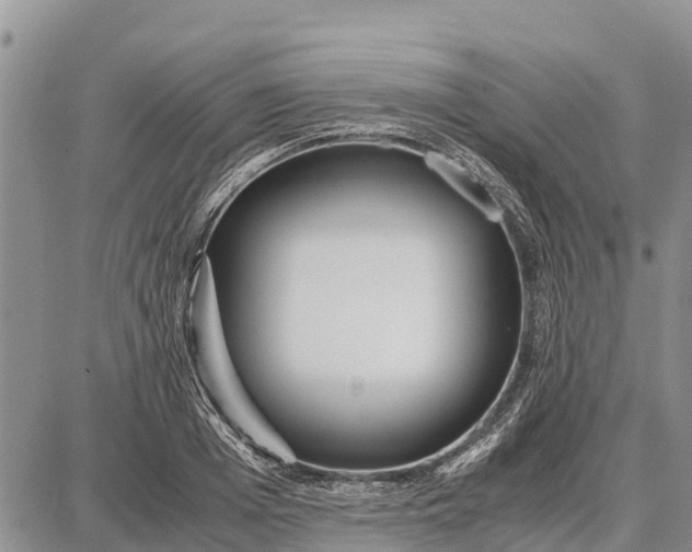 X0000087690985200705181750