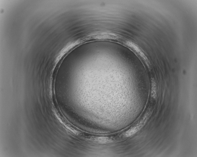 X0000087690986200705181750