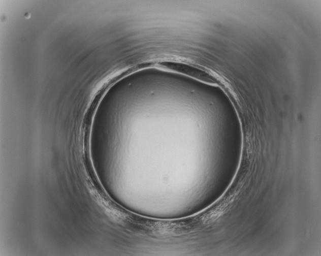 X0000087690987200705181750