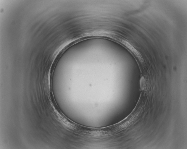 X0000087690988200705181750