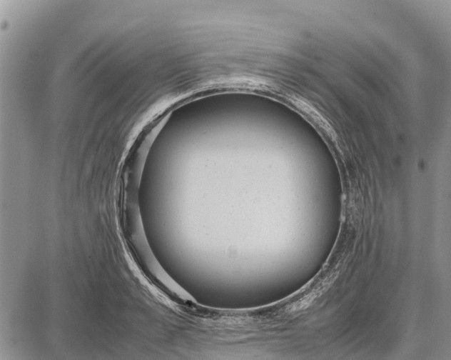 X0000087690989200705181750