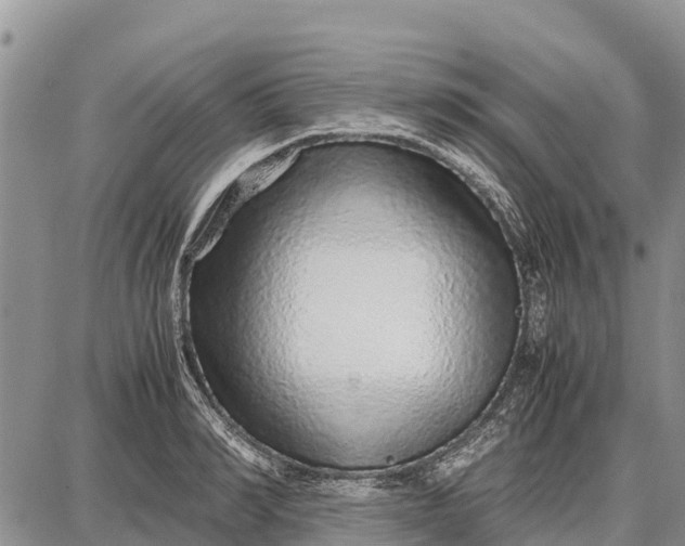 X0000087690990200705181750