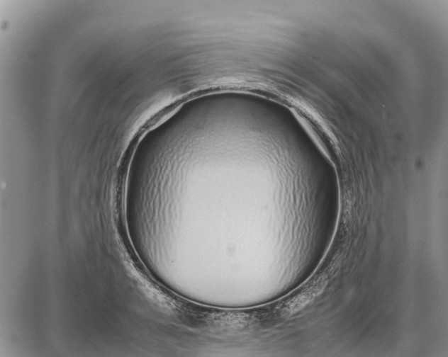 X0000087690991200705181750