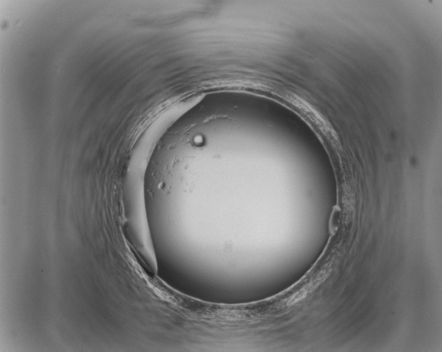 X0000087690993200705181750