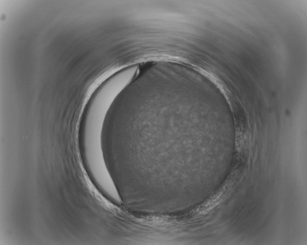 X0000087690995200705181750