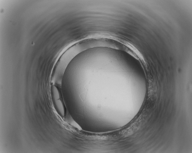 X0000087690996200705181750