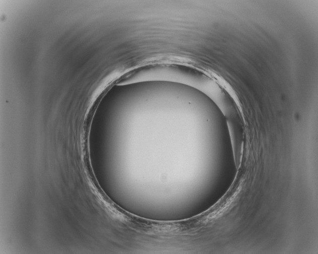 X0000087690997200705181750