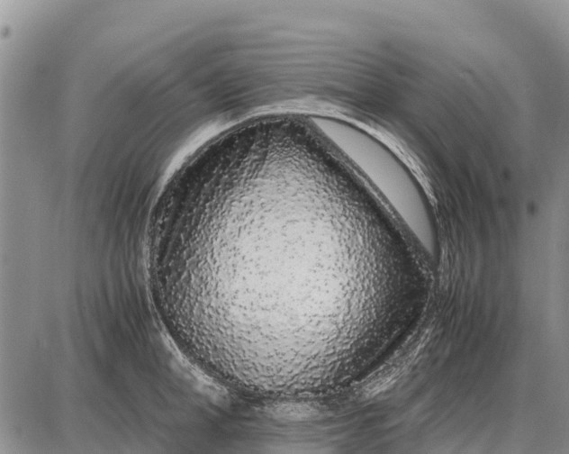 X0000087690998200705181750