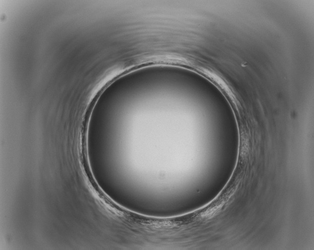 X0000087690999200705181750