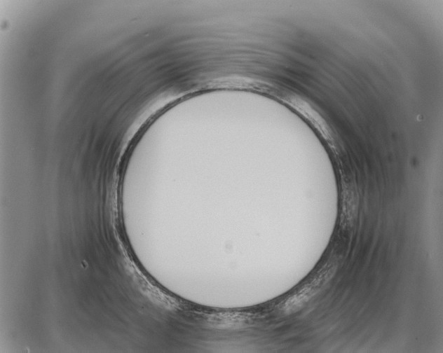 X0000087691000200705181750