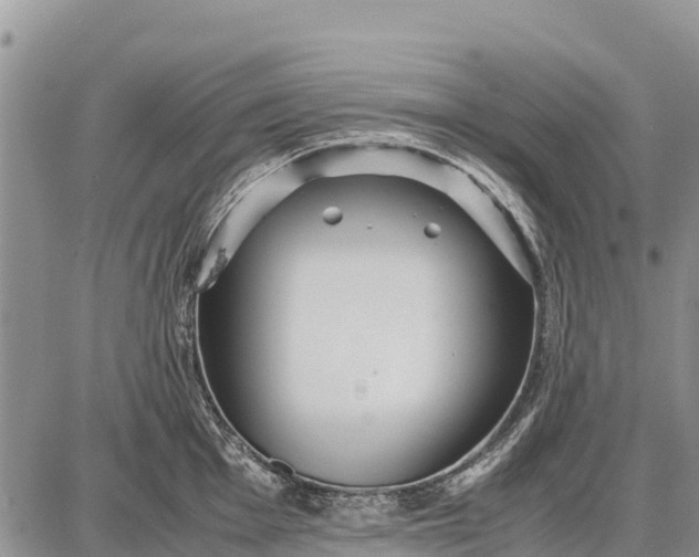 X0000087691001200705181750