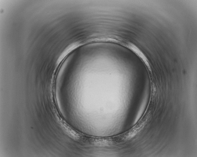 X0000087691002200705181750