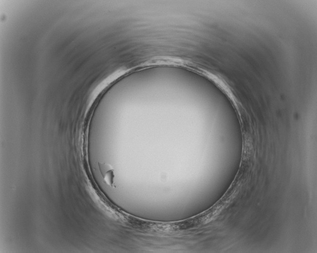 X0000087691003200705181750