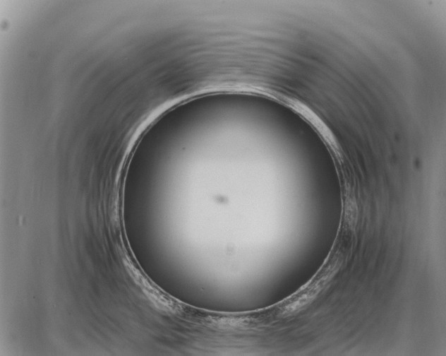 X0000087691004200705181750