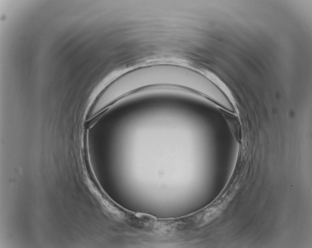 X0000087691005200705181750