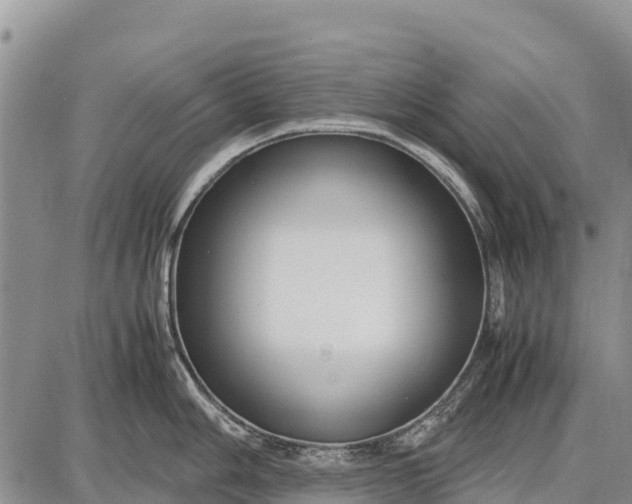 X0000087691006200705181750