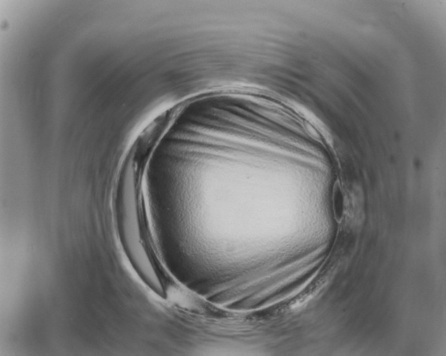 X0000087691007200705181750