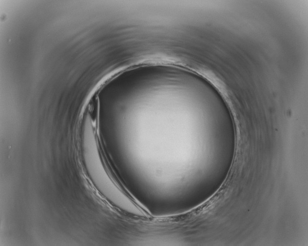 X0000087691008200705181750