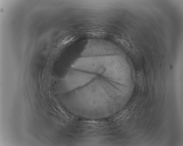 X0000087691009200705181749