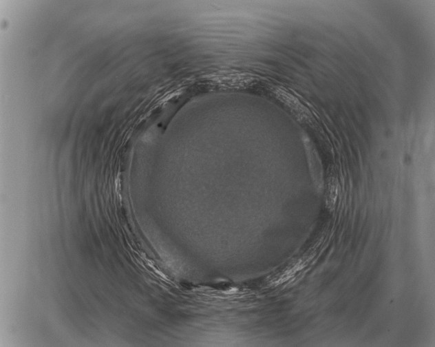 X0000087691010200705181749