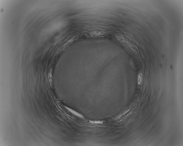 X0000087691011200705181749