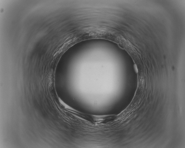 X0000087691012200705181749