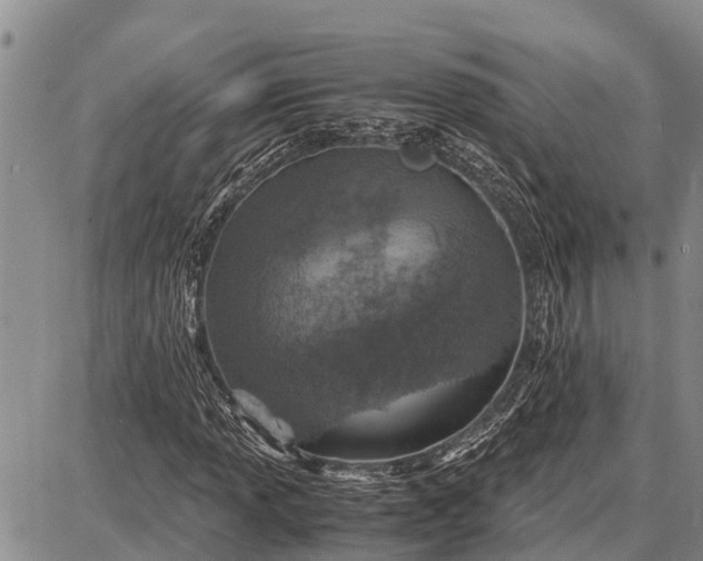 X0000087691013200705181749