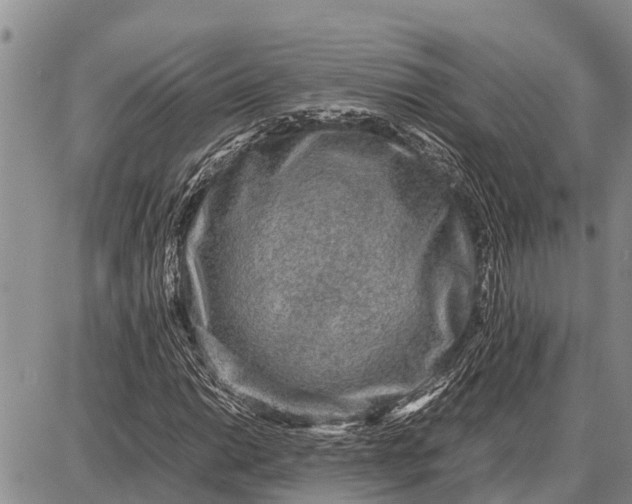 X0000087691014200705181749