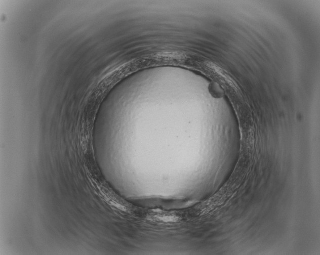 X0000087691015200705181749